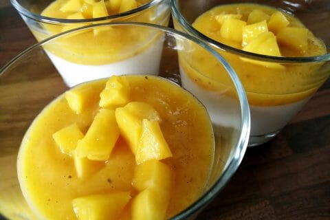 Cliquez pour zoomer ! Panna cotta coco mangue Thermomix par tartinepouki