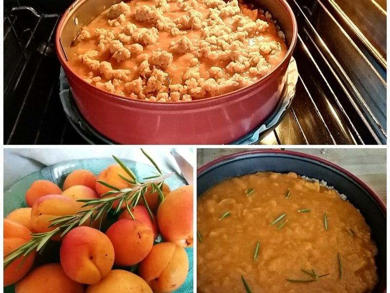 Cliquez pour zoomer ! Crumble aux abricots Thermomix par tartinepouki