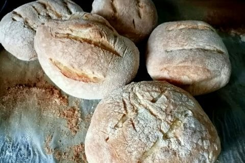 Cliquez pour zoomer ! Pains à la semoule au four Thermomix par tartinepouki