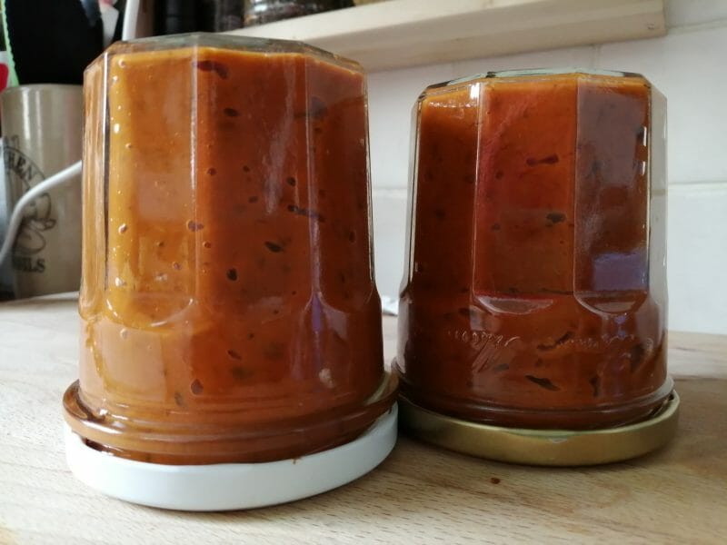 Cliquez pour zoomer ! Tartinade d’aubergines et tomates Thermomix par tartinepouki