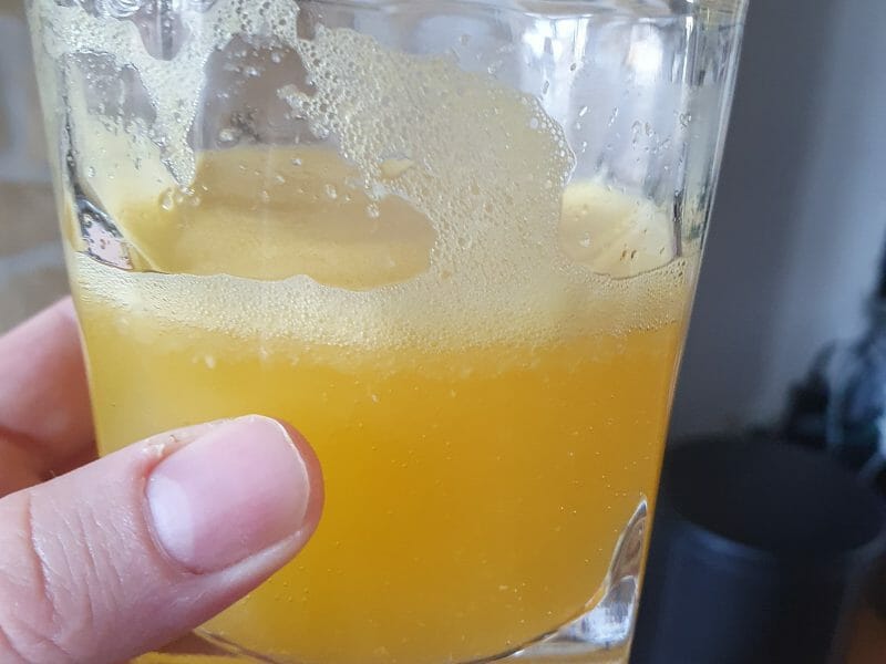 Cliquez pour zoomer ! Orangina maison Thermomix par sofia_9