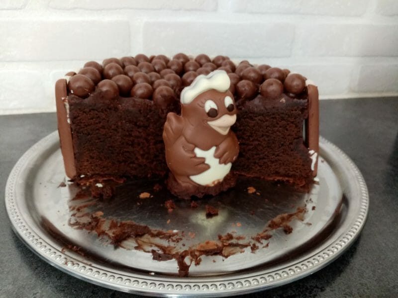 Gateau Lapin De Paques Au Thermomix Cookomix