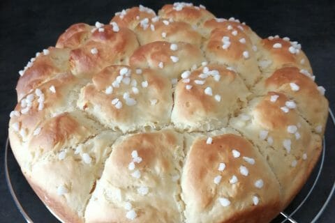 Cliquez pour zoomer ! Brioche Buchty Thermomix par alex26