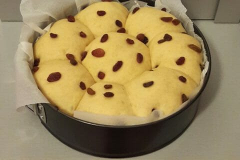 Cliquez pour zoomer ! Brioche Buchty Thermomix par Catherine DELOFFRE