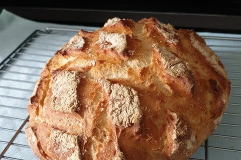 Cliquez pour zoomer ! IMG_20200322_142337