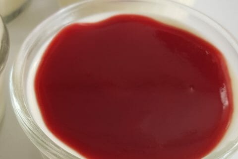 Cliquez pour zoomer ! Panna Cotta au Thermomix