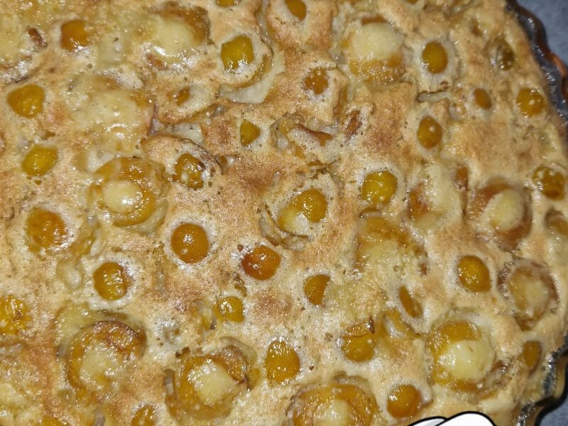 Cliquez pour zoomer ! Clafoutis aux mirabelles Thermomix par sabribri12
