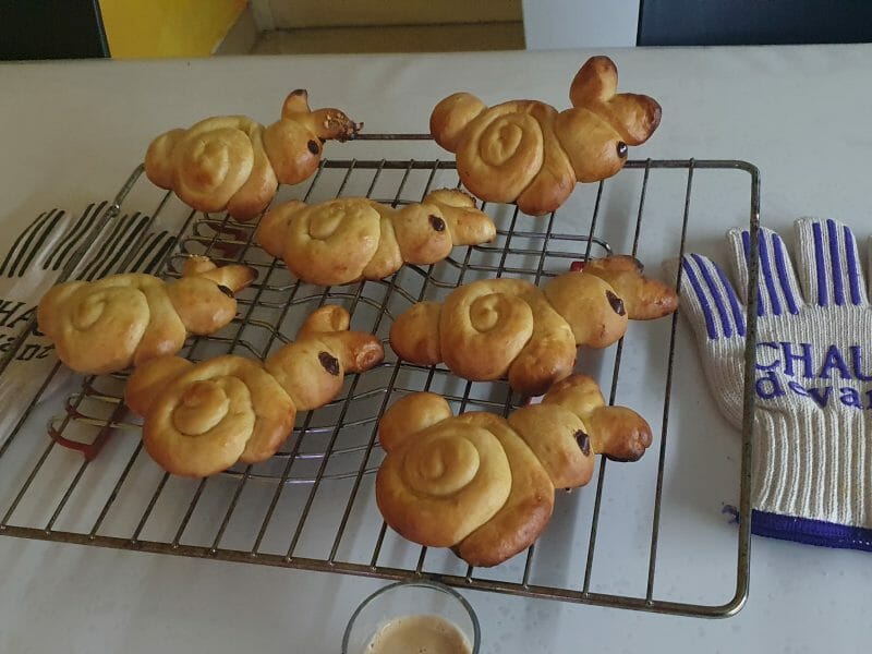 Cliquez pour zoomer ! Brioches lapin de Pâques Thermomix par sandi11