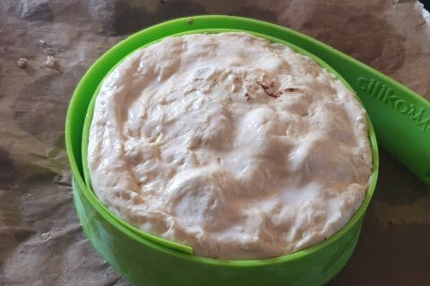 Cliquez pour zoomer ! Cheeseburger XXL au Thermomix