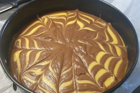 Cliquez pour zoomer ! Gâteau zébré Thermomix par carole_2807