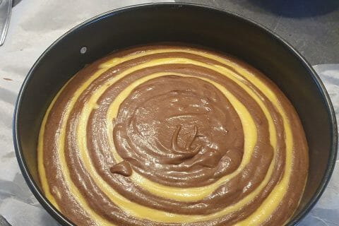 Cliquez pour zoomer ! Gâteau zébré Thermomix par carole_2807