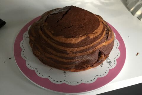 Cliquez pour zoomer ! Gâteau zébré Thermomix par pikimous