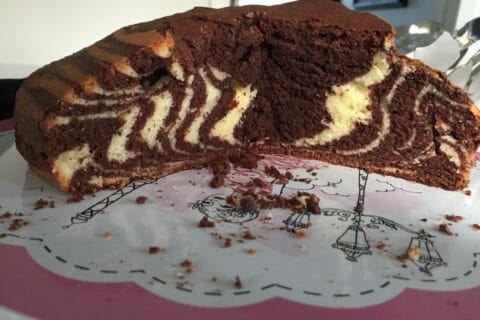 Cliquez pour zoomer ! Gâteau zébré Thermomix par pikimous