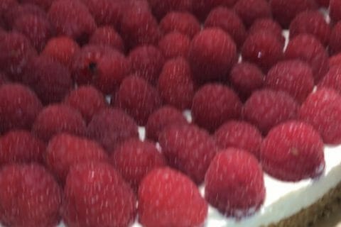 Cliquez pour zoomer ! Tarte aux fraises sans cuisson Thermomix par nadoune44