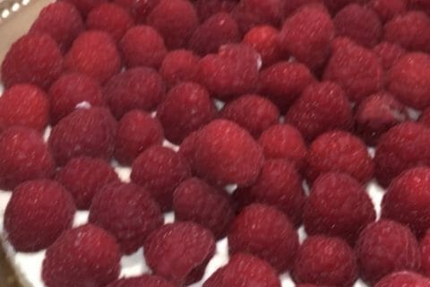 Cliquez pour zoomer ! Tarte aux fraises sans cuisson Thermomix par nadoune44