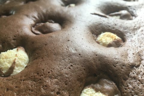 Cliquez pour zoomer ! Brownty Thermomix par kun