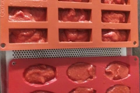 Cliquez pour zoomer ! Concentré de tomates Thermomix par 66arum