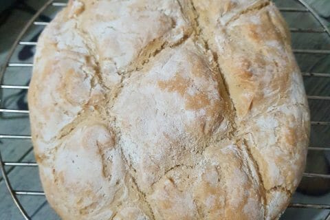 Cliquez pour zoomer ! Pain Cocotte Thermomix par tragedie15