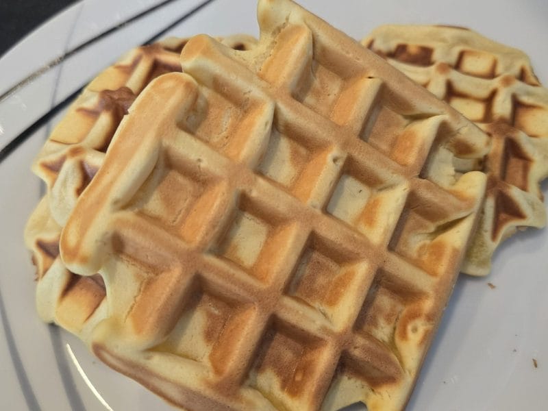 Cliquez pour zoomer ! Gaufres longue conservation Thermomix par Alysa