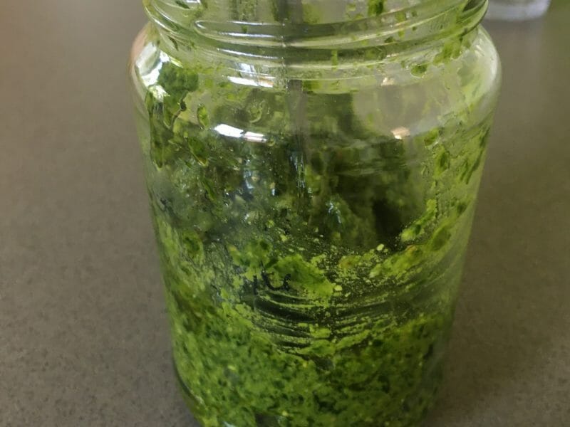 Cliquez pour zoomer ! Pesto à l’ail des ours Thermomix par selumalo