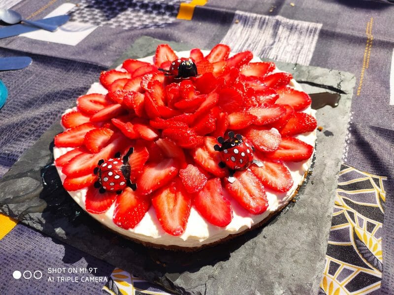 Cliquez pour zoomer ! Tarte aux fraises sans cuisson Thermomix par julieloti26
