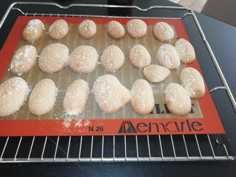 Cliquez pour zoomer ! Biscuits à la cuillère Thermomix par choc59