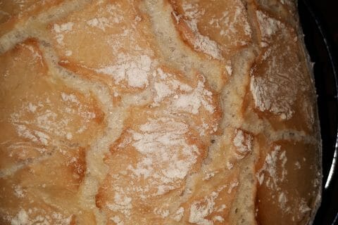 Cliquez pour zoomer ! 20190906_084135
