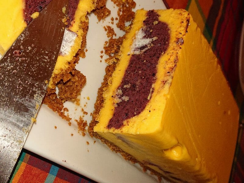 Cliquez pour zoomer ! Bûche glacée mangue et framboise Thermomix par coco971