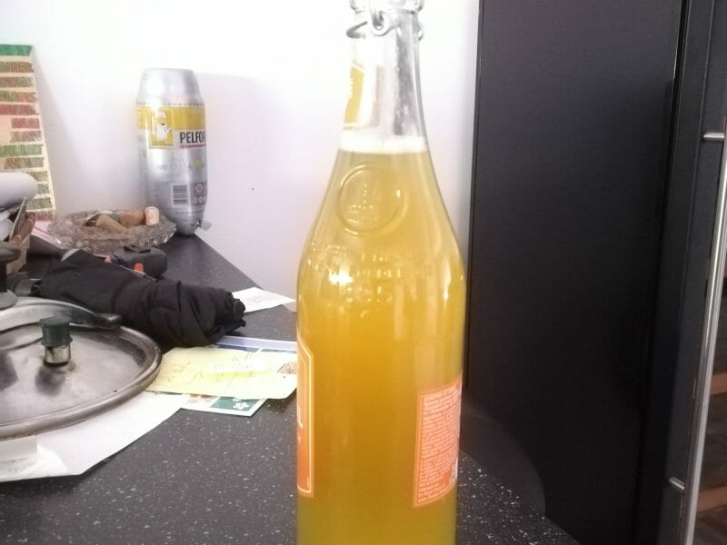 Cliquez pour zoomer ! Sirop de citron Thermomix par virginie_82