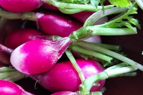 Cliquez pour zoomer ! Velouté aux fanes de radis Thermomix par soflyaway