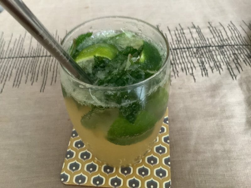 Cliquez pour zoomer ! Mojito Thermomix par evega72