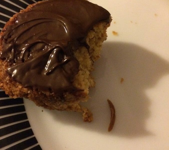 Cliquez pour zoomer ! Havreflarn (galettes de flocons d’avoine) Thermomix par noratanhoo