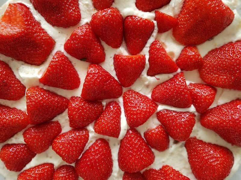 Cliquez pour zoomer ! Tarte aux fraises sans cuisson Thermomix par lou2309