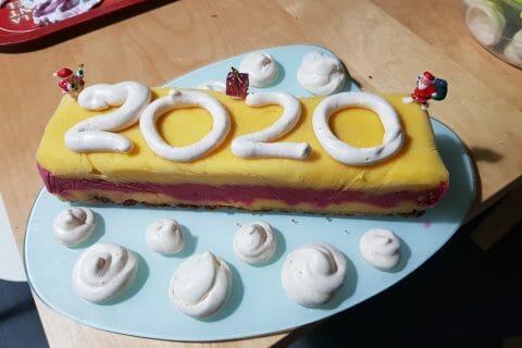 Cliquez pour zoomer ! Bûche glacée mangue et framboise Thermomix par pauline3842