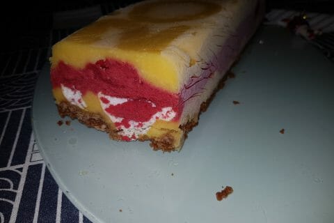 Cliquez pour zoomer ! Bûche glacée mangue et framboise Thermomix par pauline3842
