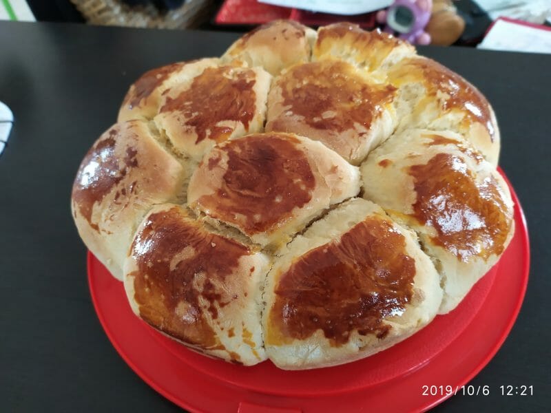 Cliquez pour zoomer ! Brioche Buchty Thermomix par chrystele41