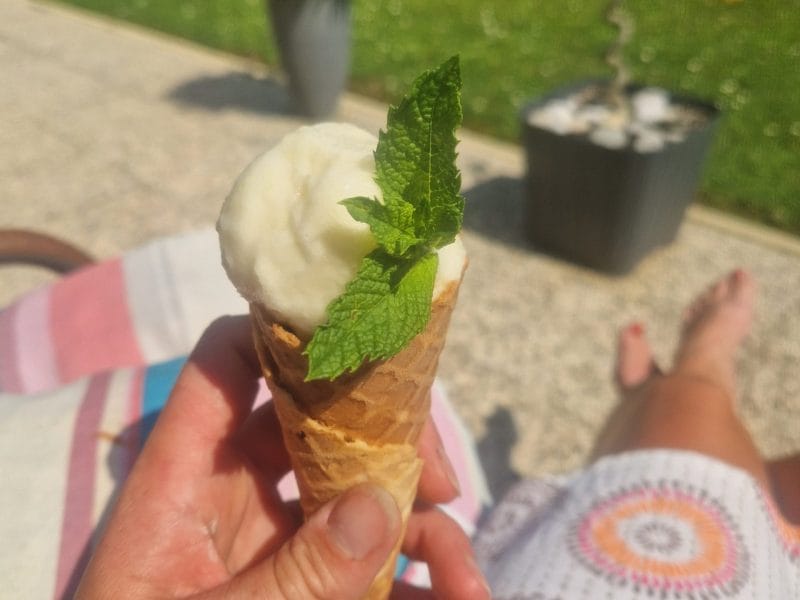 Cliquez pour zoomer ! Sorbet Ananas Thermomix par Nanie🍫