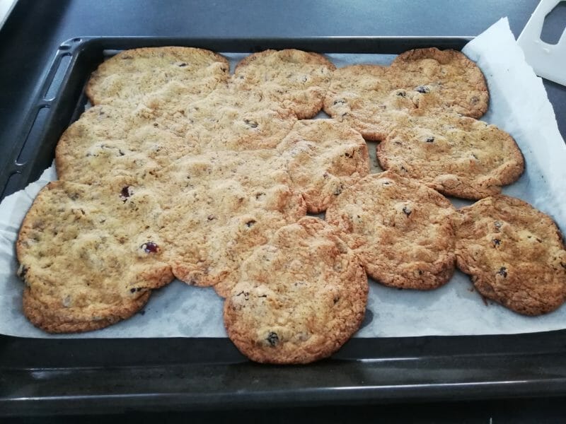 Cliquez pour zoomer ! Cookies aux éclats de pralines roses et pépites de chocolat Thermomix par mimikinou