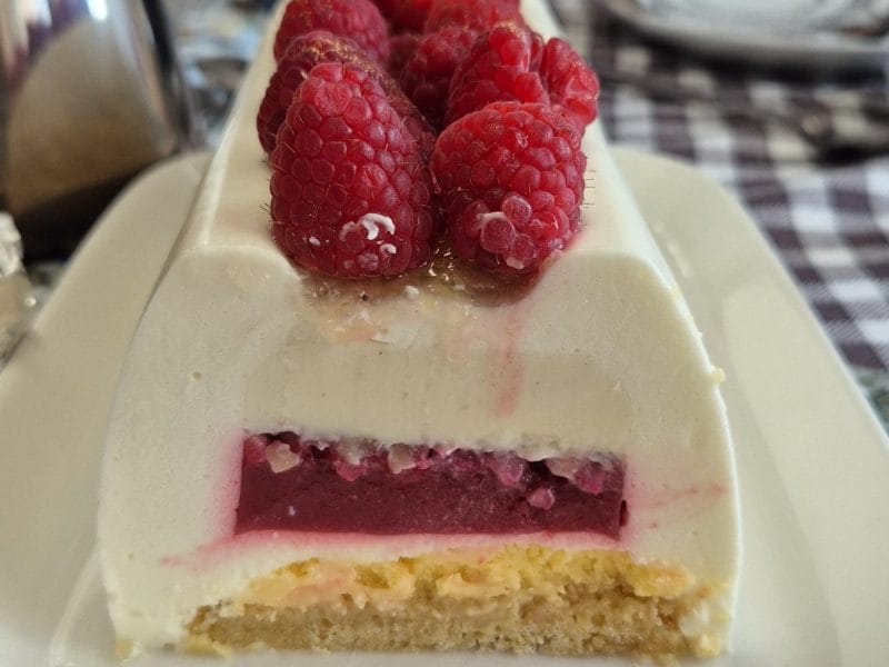 Cliquez pour zoomer ! Bûche citron et framboises Thermomix par maud_250