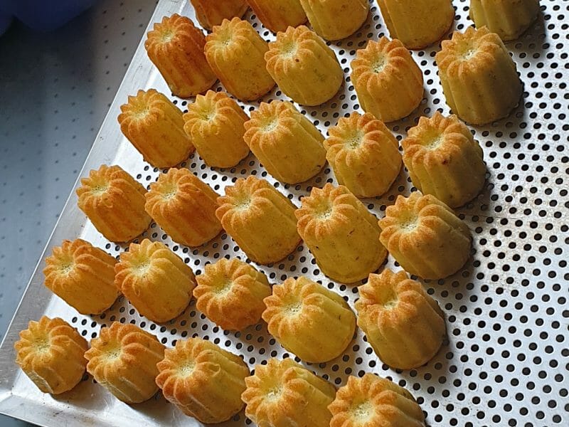 Cliquez pour zoomer ! Bouchées courgettes mozzarella Thermomix par maud_250