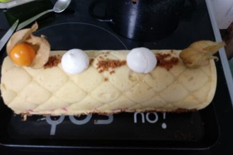 Cliquez pour zoomer ! Bûche glacée mangue et framboise Thermomix par tania_6