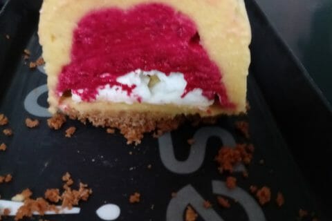 Cliquez pour zoomer ! Bûche glacée mangue et framboise Thermomix par tania_6