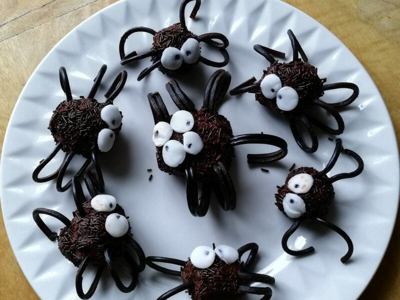 Cliquez pour zoomer ! Truffes araignées Thermomix par helher