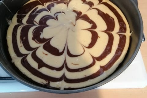 Cliquez pour zoomer ! Gâteau zébré Thermomix par liadine