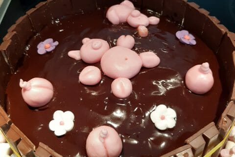 Cliquez pour zoomer ! La mare aux cochons au Thermomix