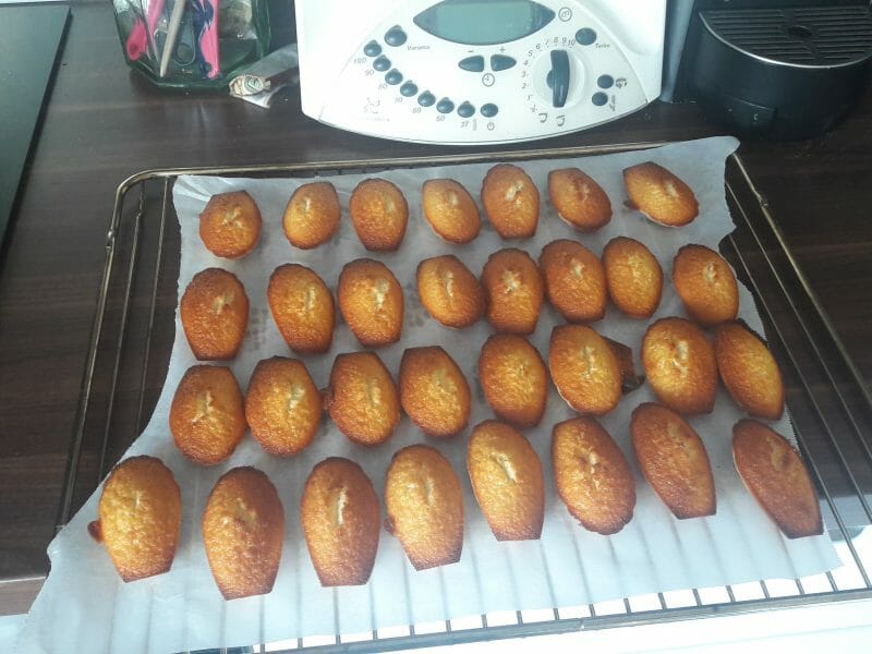 Cliquez pour zoomer ! Financiers Thermomix par camcluz