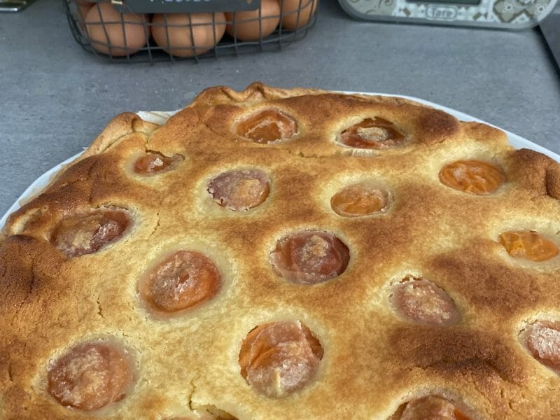 Cliquez pour zoomer ! Tarte amandine aux abricots Thermomix par andrea_10