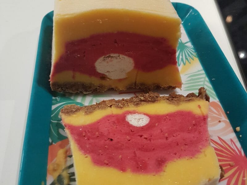 Cliquez pour zoomer ! Bûche glacée mangue et framboise Thermomix par ma_13