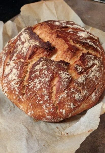 Cliquez pour zoomer ! IMG_20190128_185221 Thermomix par Xomie2a