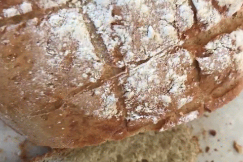 Cliquez pour zoomer ! Pain Cocotte Thermomix par sandra_53